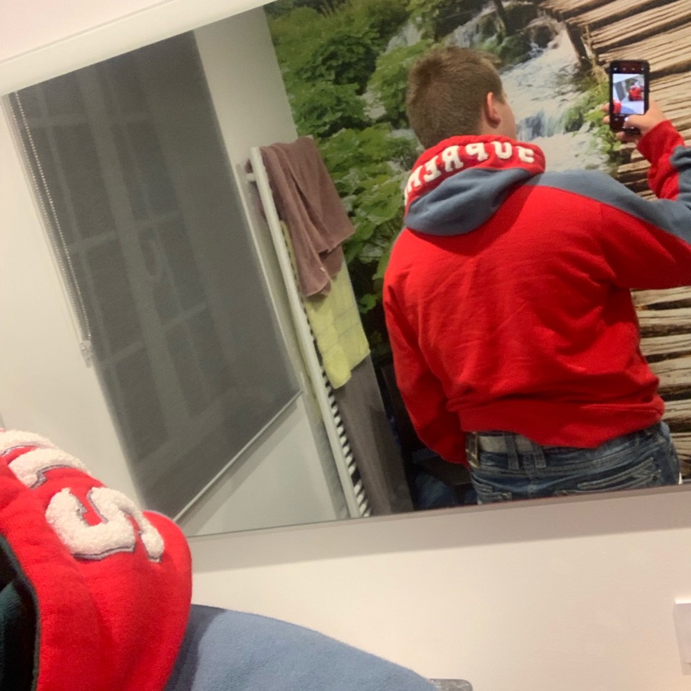 Supreme paneled hoodie fw18